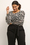 103590-black-sand-dolla