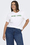 bright-white-new-york
