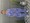 cobalt-wit