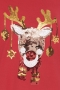ONLY jurk CARJINGLEBELL | 15282497BLACM=46/48&nbsp;