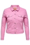 ONLY jack CARWESPA colour denim | 15316188STMO42&nbsp;