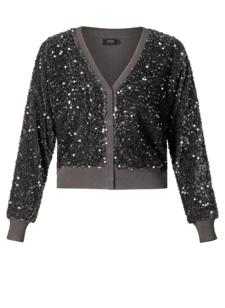 YESTA vest Trijntje | A005059grey2(50)&nbsp;