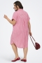 ONLY knie jurk Penna | 15349907RASP/CLDA46&nbsp;