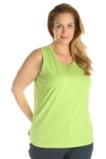 Singlet No Secret basis model